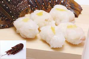 お刺身鹿の子伊勢海老