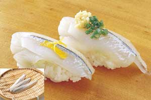 サヨリスキンレス