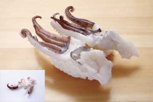 あおりいか下足