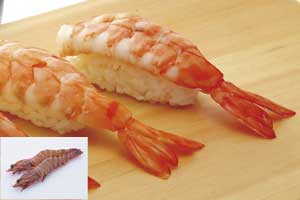 お刺身天然海老