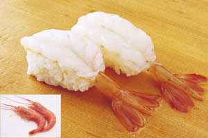 アルゼンチン アカエビ