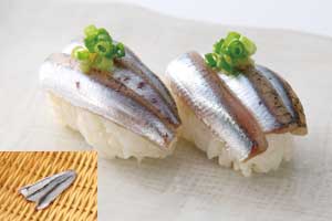 お刺身小いわし