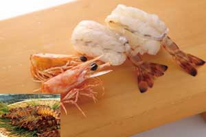 久米島産生食車海老