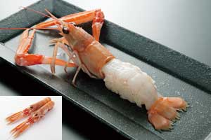 アイルランド産エメラルドスキャンピー