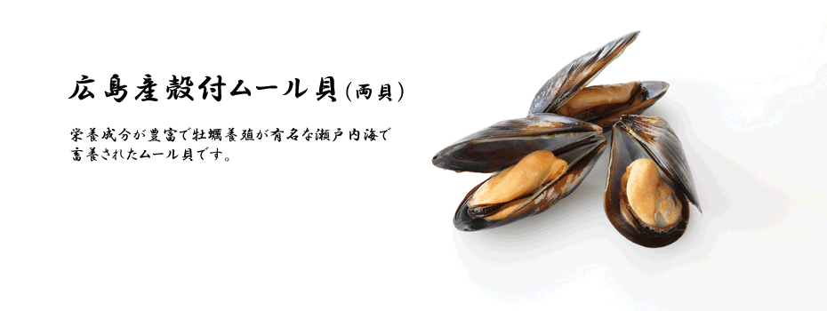 広島産殻付ムール貝