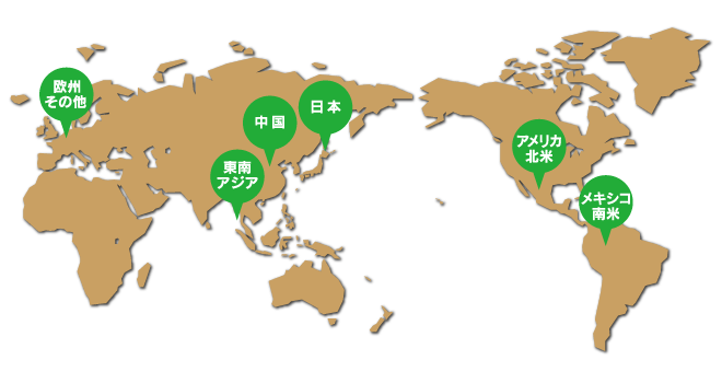 世界地図