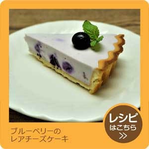 ブルーベリーのレアチーズケーキ