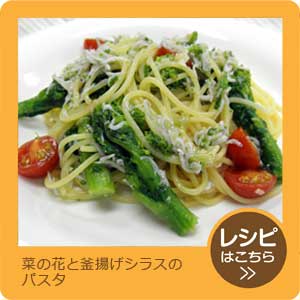 菜の花と釜揚げシラスのパスタ