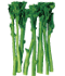 茎ブロッコリー